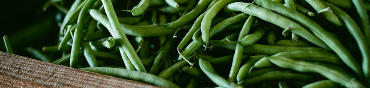 Fresh picked green beans in a wooden crate.